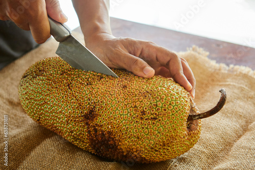 Cropped hand using knife chopped ripe organic chempedak fruit photo