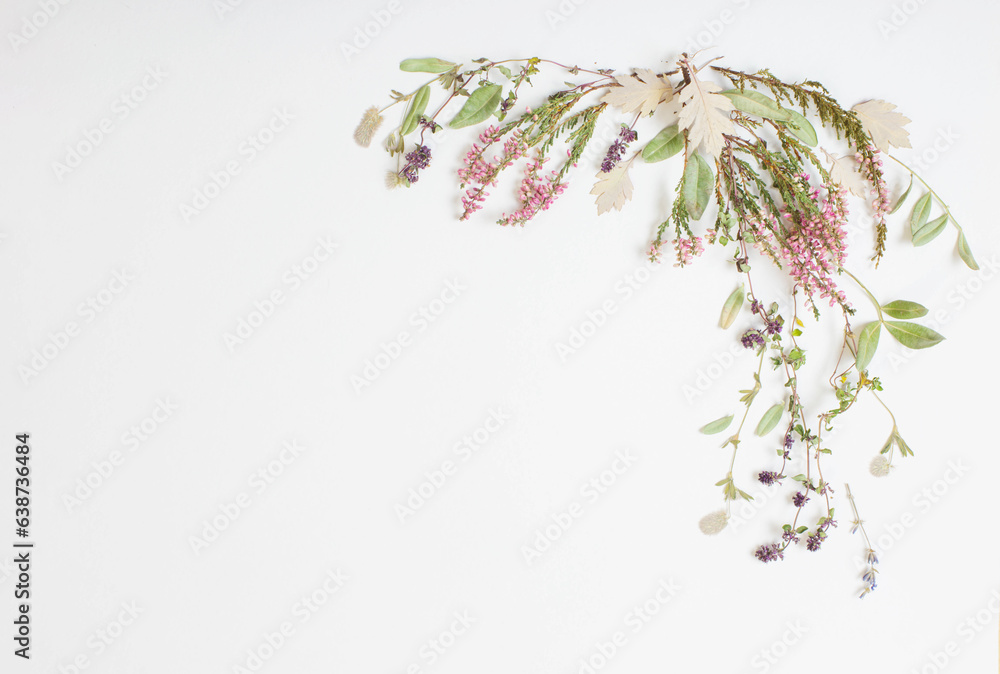 dried flowers on white background dried flowers on white background