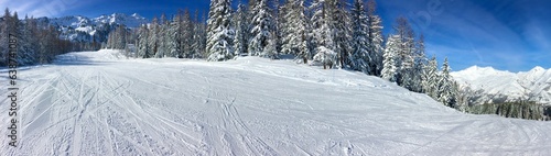 panoramic view on slopes in alpine mountain ccrossing fir forest under blue sky