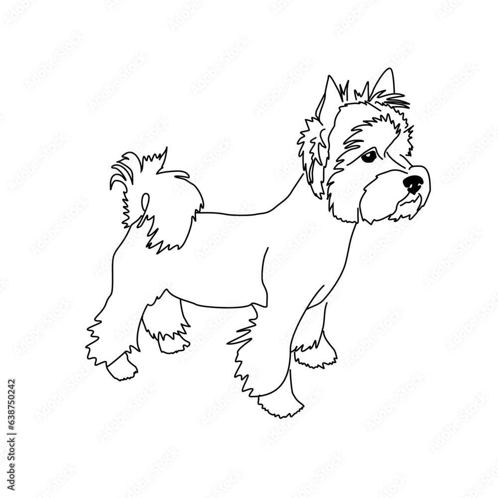 Vector drawing of a Yorkshire Terrier puppy. A sketch of a lying little dog Vector drawing of a Yorkshire Terrier puppy. A sketch of a lying little dog