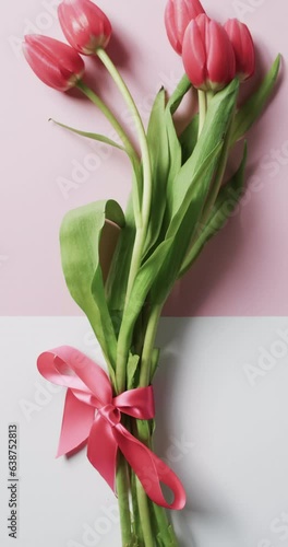 Vvertical video of bunch of red tulips with copy space on white and pink background photo