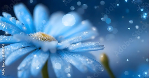 water drops on blue flower background. 