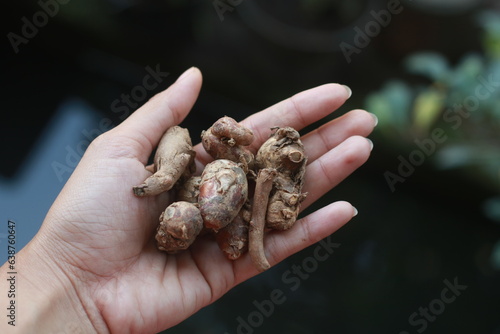 Traditional herbs in hand