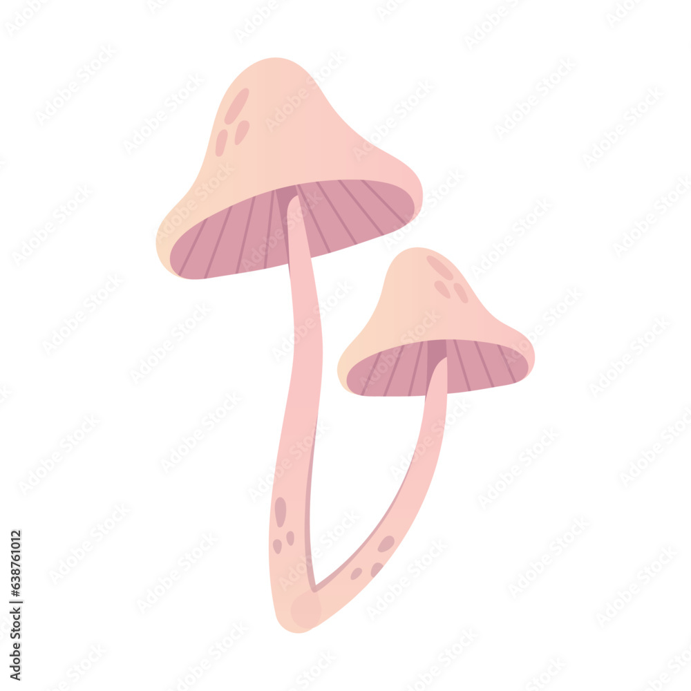 Mushrooms isolated on white background Mushrooms isolated on white background