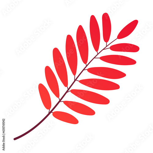 Autumn leaf isolated on white