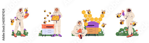 People in beekeepers suit gather honey at apiculture farm. Mans and womans hold hive frames on apiary, bees fly near beehives and honeycomb. Flat vector illustration isolated on white background