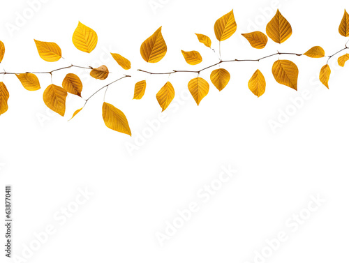 Golden autumn leaves on white