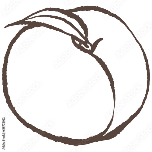 Peach hand drawn vector
