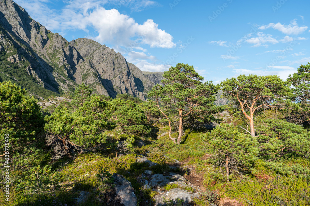 Berge und Moor im Süden der norwegischen Insel Vega