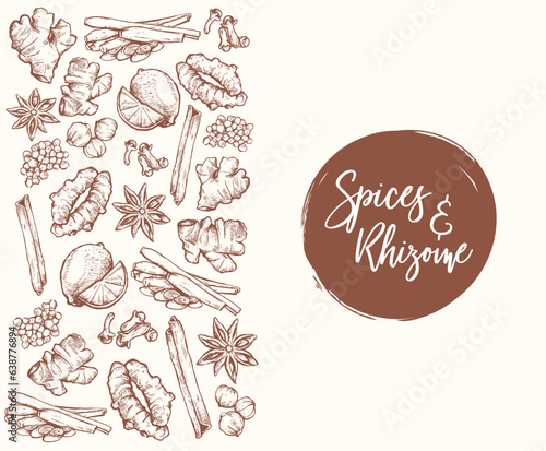 Spices and Rhizome Hand Drawn Vector Designs. Vintage style vector graphic with separated layers.