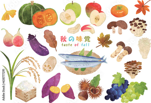 手描き水彩　秋の味覚　イラストセット