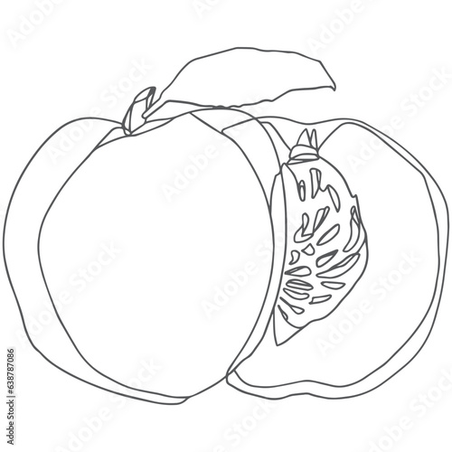 Sliced peach line art