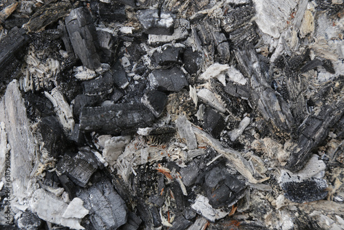 Wallpaper Mural Ashes texture background. Burnt wood ash background in after barbecue, close up Torontodigital.ca