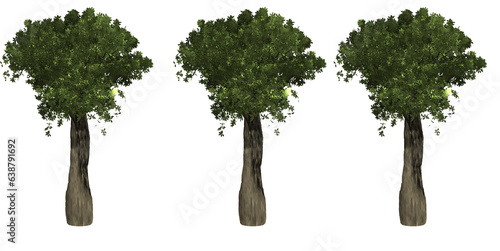 Tree graphic resource 