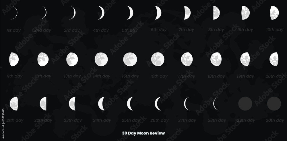 30 day moon phases and moon calendar Stock Vector | Adobe Stock