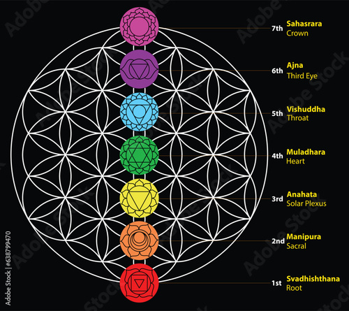 Photography Seven chakras Set of seven chakra symbols with names