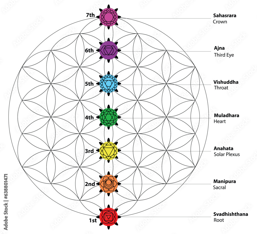 photo-art-print-seven-chakras-set-of-seven-chakra-symbols-with-names-udayakumar