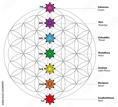 Seven chakras Set of seven chakra symbols with names. These is religion, philosophy, and spirituality symbols. vector illustration. on background