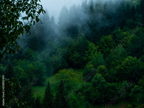 Misty Carpathian Mountains with fog landscape. Foggy morning green fir trees forest on a rainy day. Calm tranquil Carpathians summit wood wallpaper Scenic travel photo Ukraine  Europe. Local tourism.