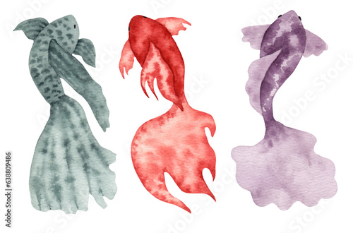 Set of stylized fish. Sea creatures. Simple design. Suitable for cards, invitations, brochures and prints, adding elegance to your design projects. Watercolor illustration. Hand drawing isolated.