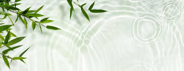spa background banner with green bamboo leaf on white transparent water wave in sunlight, concept with copy space for travel,  cosmetics and beauty care