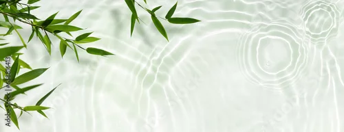 Fototapeta spa background banner with green bamboo leaf on white transparent water wave in sunlight, concept with copy space for travel,  cosmetics and beauty care