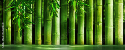 thick bamboo stems in a row in water, green sunny nature spa background for wallpaper decoration with asian spirit