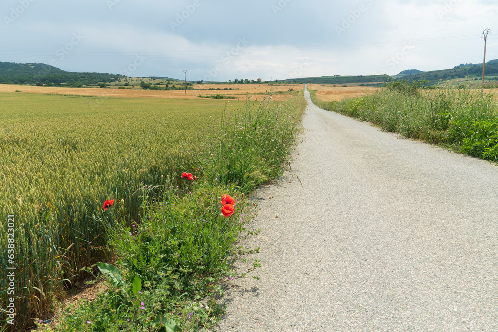 Goñi or Valle de Goñi (Goñerri or Goñibar in Basque) is a valley and a