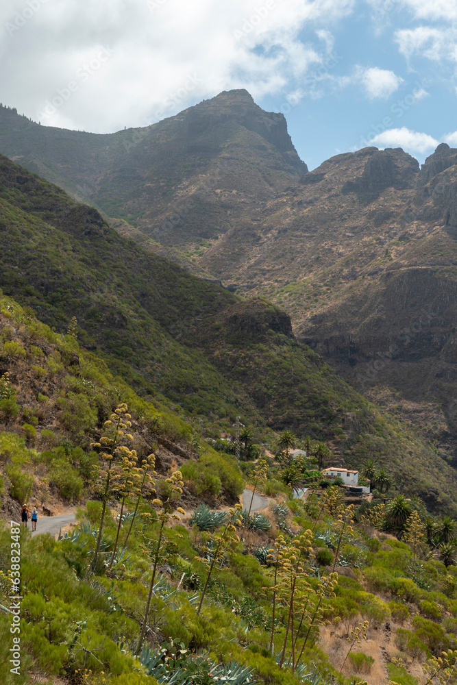 Masca is one of the most picturesque parts of Tenerife island and is located in the northwest at the foot of the Teno Mountains Canary islands Spain
