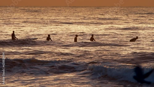 At Durban beach, in the glow of the morning sunrise, surfers sit on their boards in the gold-colored sea, with pigeons flying past in the foreground.