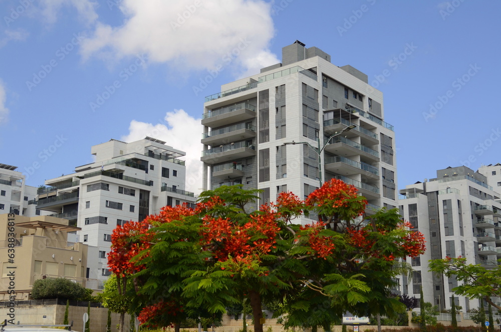 Residential area, flowering trees, beautiful street. Modern houses in Israel. Buying real estate, renting housing.