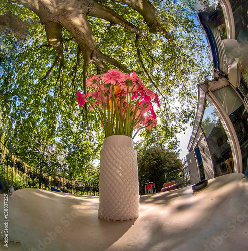 a bouquet of red flowers in a vase against the backdrop of the bright sun