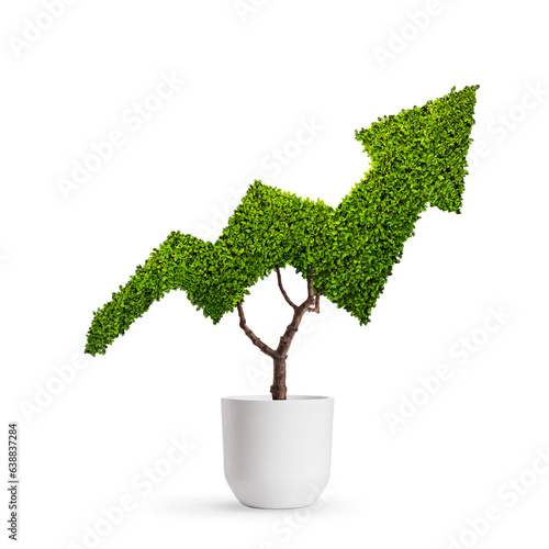 Growth concept, plant growing in the shape of an stock arrow