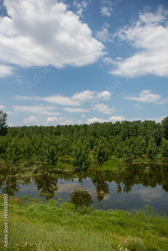 Fototapeta Naklejka Na Ścianę i Meble -  Lake in the forest in Galati, Romania