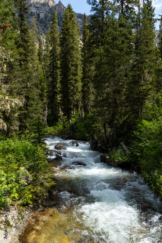 Waterfall Views in Cascade Canyon of the Teton Crest Trail in Summer