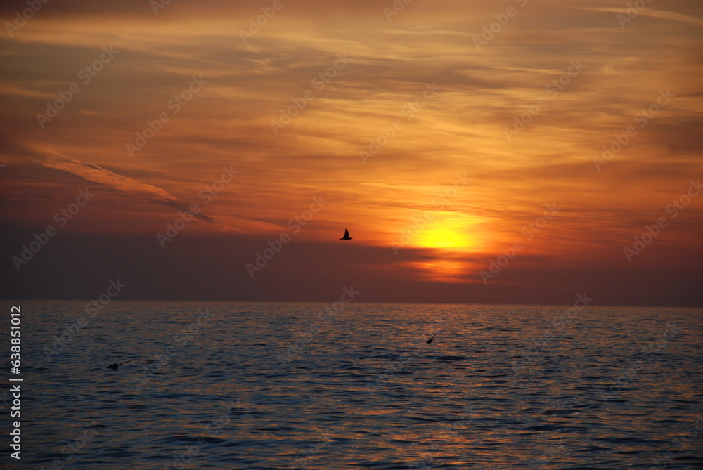 Sunrise over the ocean with choppy water and a bird flying by the sun with clouds in background. Sunrise over the ocean with choppy water and a bird flying by the sun with clouds in background.