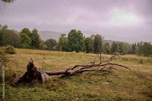 Rainy and foggy weather above the meadows and forests at Sumava  Czech republic