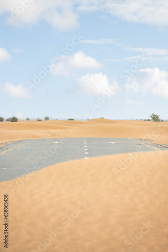 Obraz na płótnie (Selective focus) Stunning view of a deserted road covered by sand dunes. Empty road that run through the Dubai desert. Dubai, United Arab Emirates, (UEA) w salonie