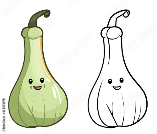 calabash fruit vector illustration , Ripe Calabash , miracle fruit ,fengshui , bottle gourd, white flowered gourd , rum stock vector image