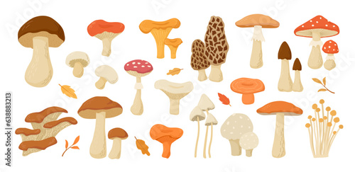 Set of edible and poisonous mushrooms collection. Cartoon vector illustration. Cep, Boletus, Champignon, Chanterelle, Aspen, Amanita, Morel, Oyster mushrooms, Russula, Niscalo. Autumn harvest.