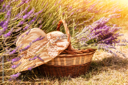 Basket with lavender flowers and straw hat on flower field in summer