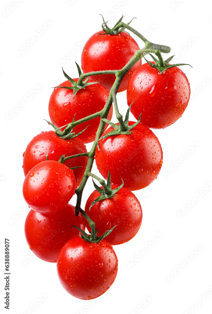 Cherry tomatoes on a branch close-up on a white background. Isolated