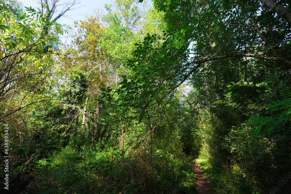 le de la Folie sensitive natural area in the Loire valley le de la Folie sensitive natural area in the Loire valley