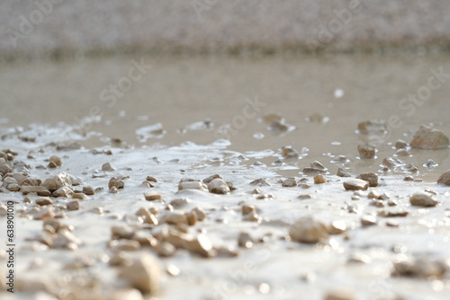 Wet stones in the sand