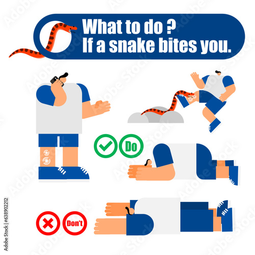 the first aid  for  snake bites.
