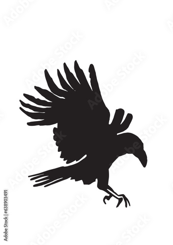 Ink pen vector silhouette of crow isolated on white background. Element for design tattoo and printing