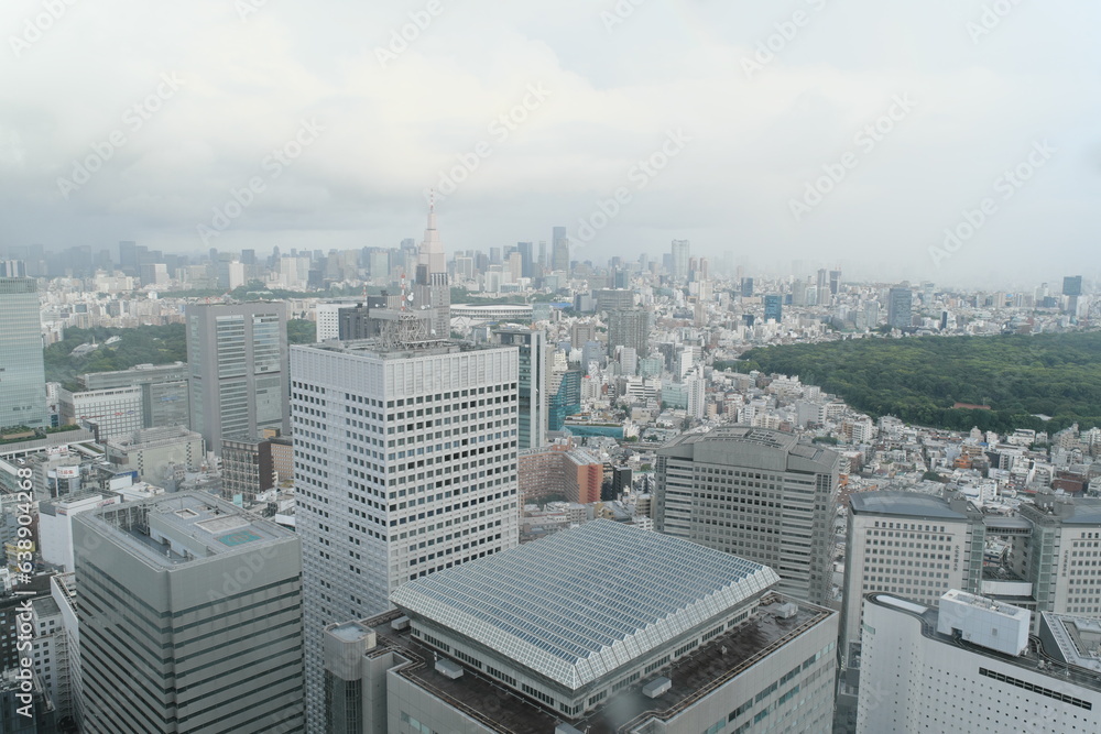 東京都庁 展望台からの景色　View from the observation deck of the Tokyo Metropolitan Government Building