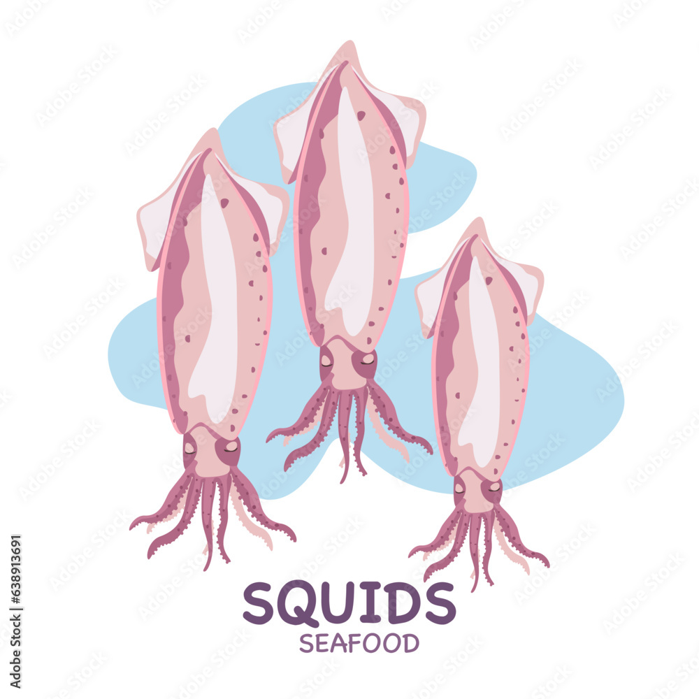 Vector set of squids for Mediterranean cuisine. Seafood. Top view, closed shell, open shell. Isolated on a white background. for the product market.