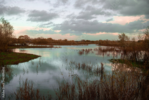 Vista over the lake