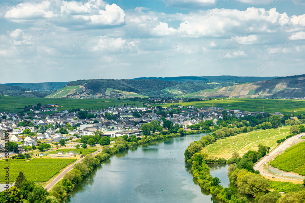 Fototapeta premium Kurze Entdeckungstour in der Moselregion beim Bremm - Rheinland-Pfalz - Deutschland